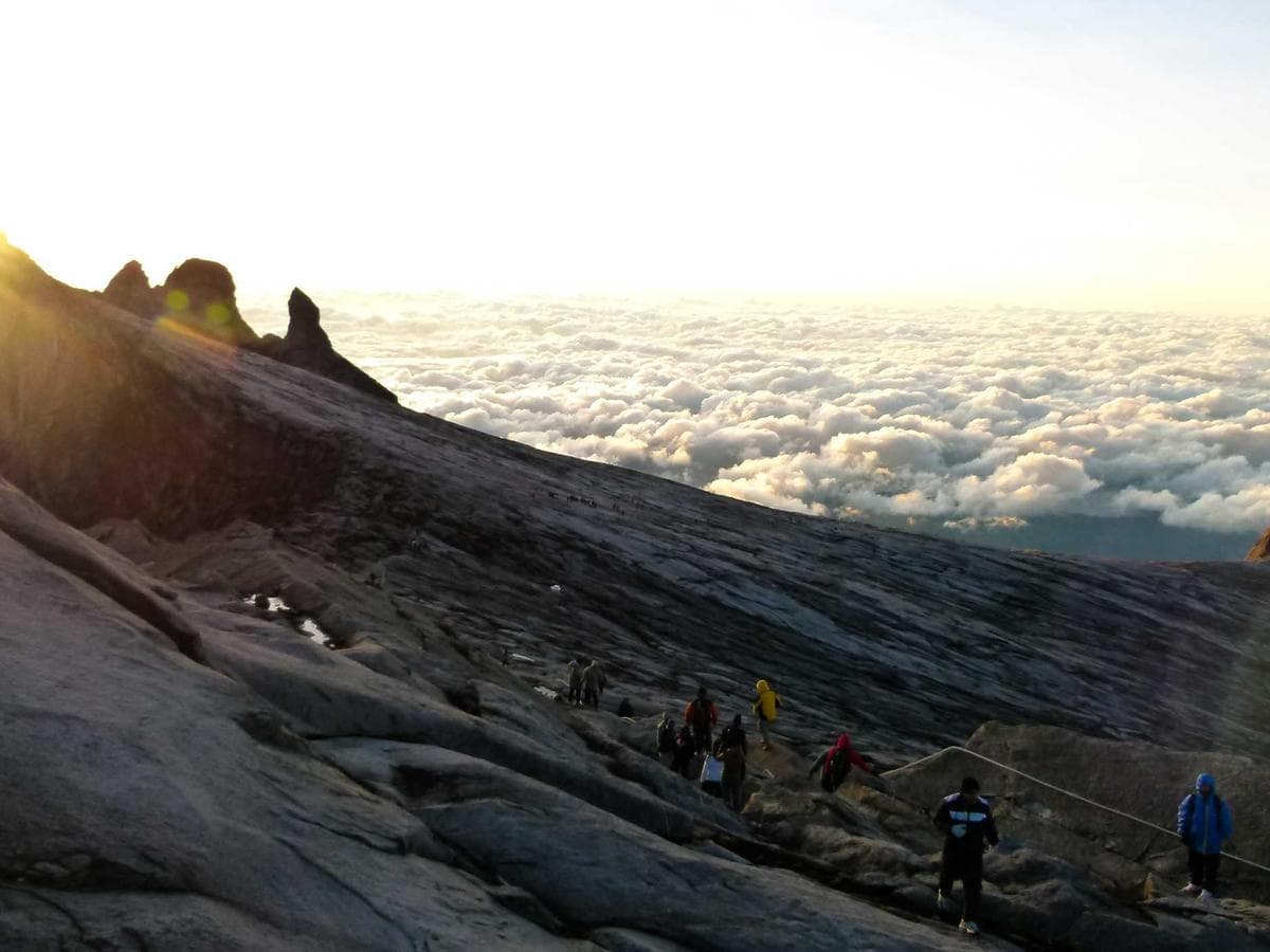 Manos del Sur - Imagen principal